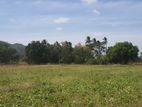 Residential land for sale in Dambulla