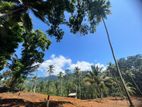 Residential Land for Sale in Deniyaya, Waralla