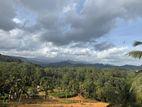 Residential Land for Sale in Deniyaya, Waralla