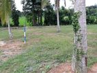 Residential Land for Sale in Dewalapola, Gampaha