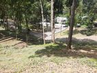 Residential Land for Sale in Digana, Malpana