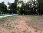 Residential Land for sale in Divulapitiya - A06