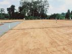 Residential Land for Sale in Divulapitiya