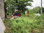 Residential Land for Sale in Diyagama