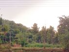 Residential Land for Sale in Embilipitiya