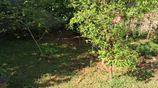 Residential Land for sale in Ethul Kotte