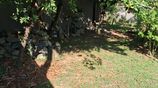 Residential Land for sale in Ethul Kotte