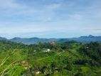 Residential Land for Sale in Gampola - Panwilathenna