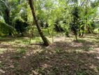 Residential Land for Sale in Ganemulla Road