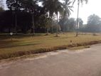 Residential Land for Sale in Gonapola