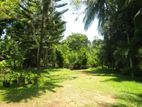 Residential Land for Sale in Halpatota, Baddegama.