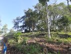 Residential Land for Sale in Haragama