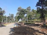 Residential Land for Sale in Haragama