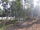 Residential land for sale in Haragama, Sinharagama
