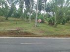 Residential Land for Sale in Homagama