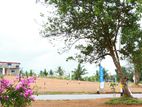 Residential Land For Sale In Homagama - Magammana
