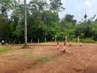 Residential land for sale in Homagama pitipana junction