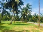 Residential Land for Sale in Homagama Thalagala