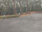 RESIDENTIAL LAND for sale in Homagama Thalagala