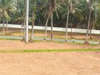 Residential Land for Sale in Homagama - Thalagala