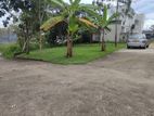 Residential Land for Sale in Homagama Town