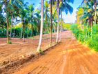 Residential Land For Sale In Horana Gonapola