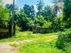 Land for Sale in Ibbagamuwa
