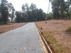 Residential Land For Sale In Ja Ela-Ganemulla Bus Route