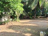 Residential Land for Sale in Kadana, Rilawulla