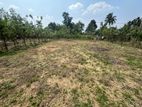 Residential Land for Sale in Kadawatha