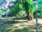 Residential Land for Sale in Kadawatha, Mangala Mawatha - A016
