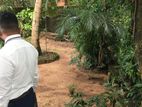 Residential Land for Sale in Kaduwela, Rajasinghe Mawatha