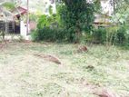 Residential Land for Sale in Kalagedihena