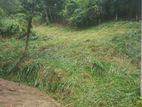 Residential Land for Sale in Kandy Abathanna