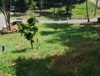 Residential Land for Sale in Kandy Digana