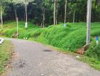 Residential Land for Sale in Kandy