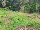 Residential Land for Sale in Kandy Gelioya Pethiyagoda