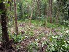 Residential Land for Sale in Kandy , Madawala - Lewella Road