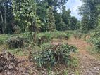 Residential Land for Sale in Kandy Pilimatalawa