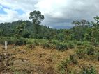 Residential Land For Sale In Kandy Pilimatalawa