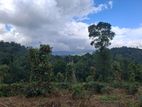 Residential Land for Sale in Kandy Pilimatalawa