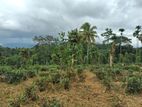 Residential Land for Sale in Kandy Pilimatalawa