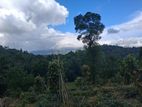 Residential Land for Sale in Kandy Pilimatalawa