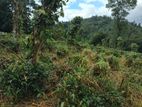 Residential Land for Sale in Kandy Pilimatalawa