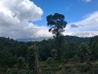 Residential Land for Sale in Kandy Pilimatalawa Pamunuwa