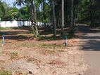 Residential Land for Sale in Kandy Sinharagama