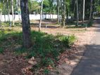 Residential Land for Sale in Kandy Sinharagama