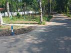 Residential Land for sale in Kandy Sinharagama