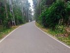 Residential Land for Sale in Katana, Negombo.