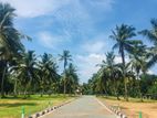 Residential Land for Sale in Katunayake Seeduwa